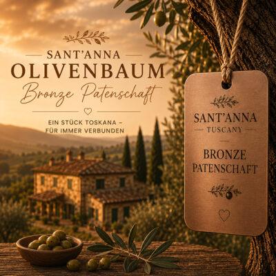 BRONZE Olivenbaumpatenschaft - Sant'Anna