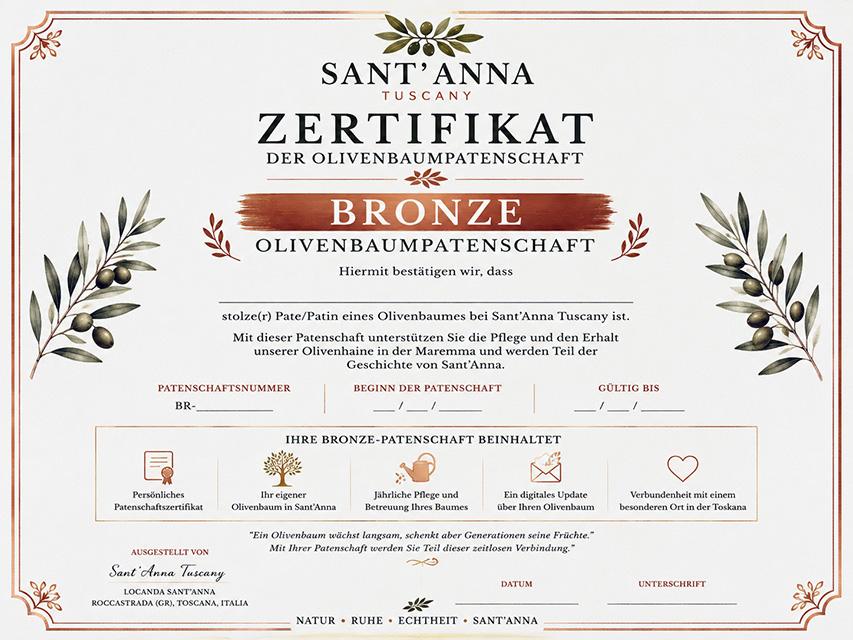 BRONZE Olivenbaumpatenschaft - Sant'Anna – Bild 4