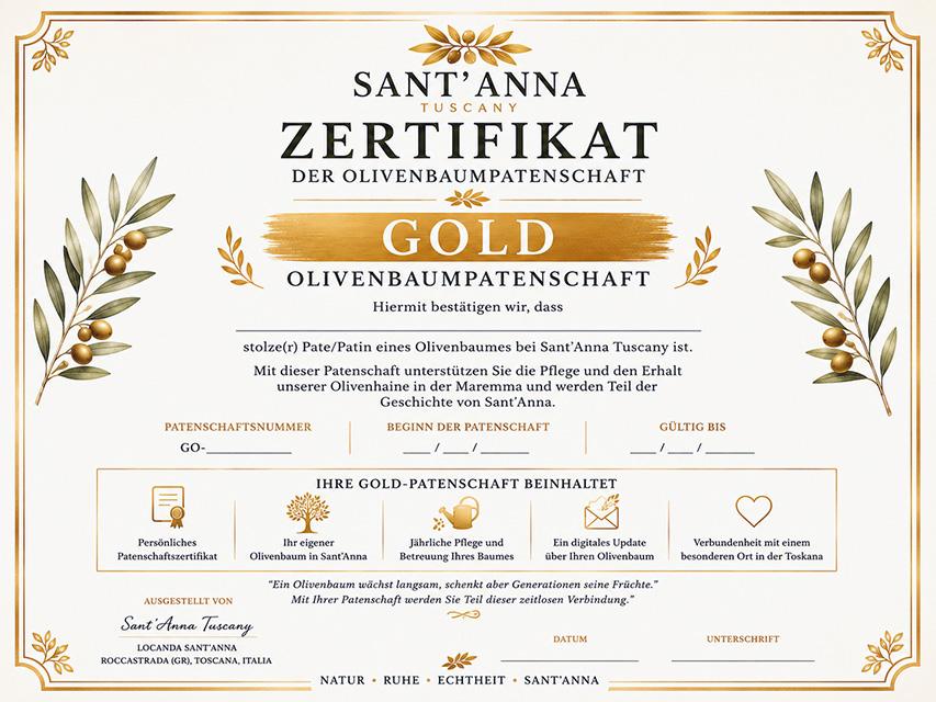 "Bestseller" - GOLD Olivenbaumpatenschaft - Sant'Anna – Bild 4