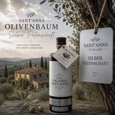 SILBER Olivenbaumpatenschaft - Sant'Anna